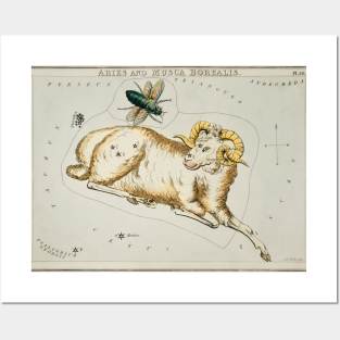 Aries Constellation Posters and Art